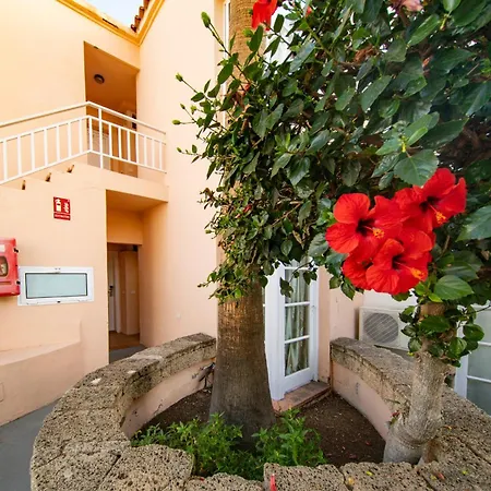 Playa Fanabe アパート *